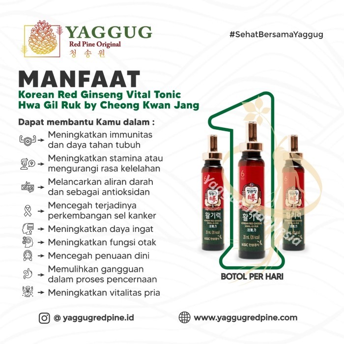 

New Jung Kwan Jang Red Ginseng Vital Tonic 16 Botol