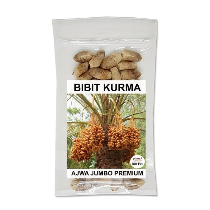 

FRES BISA SPK! Bibit Kurma Ajwa Premium 100pcs / Kurma Ajwa Jumbo / Benih Ajwa Unggul