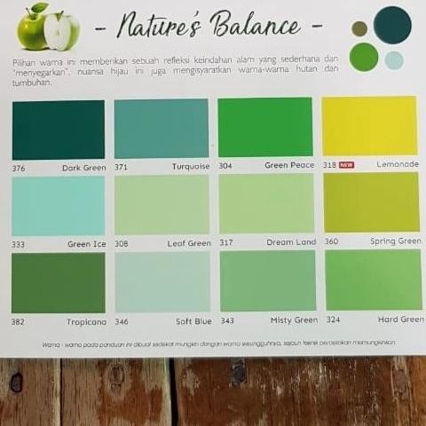 BEBAS ONGKIR - cat tembok paragon 20 kg ( warna 4 )