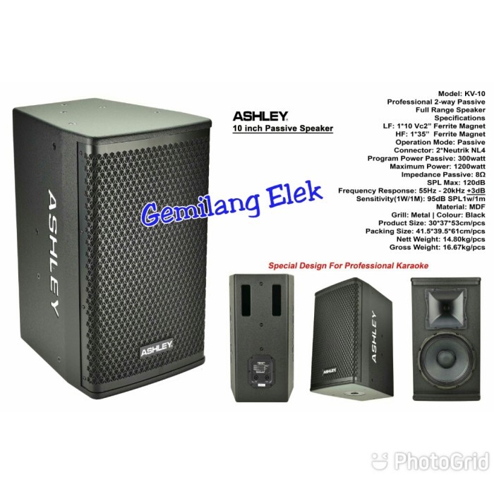 Speaker PASIF ASHLEY KV10 ( 10 inch ) Original