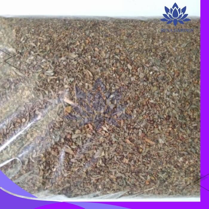 

DAUN MENIRAN KERING 100GR - HERBAL MEMPERKUAT IMUN TUBUH GRATIS ONGKIR