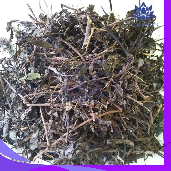 

HERBAL KUMIS KUCING KERING 1KG ASLI DAN MURNI DIJAMIN GRATIS ONGKIR