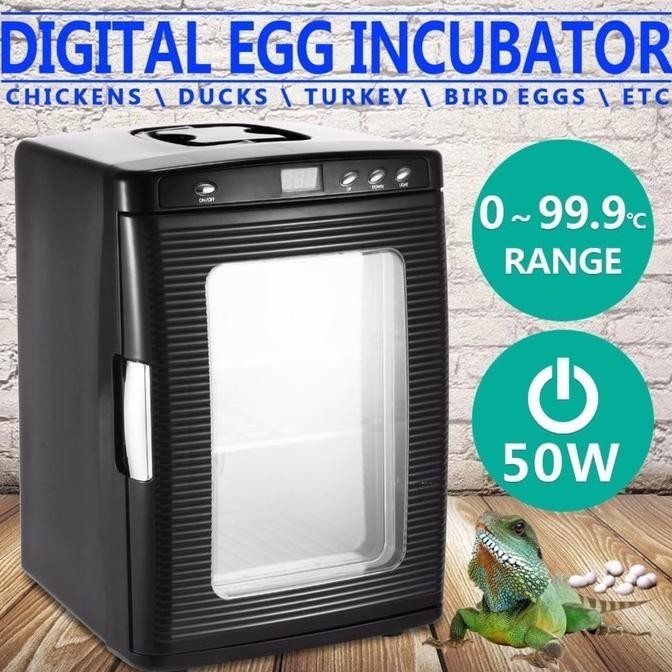Reptile Incubator Inkubator Reptil Kura Kura Egg Incubator