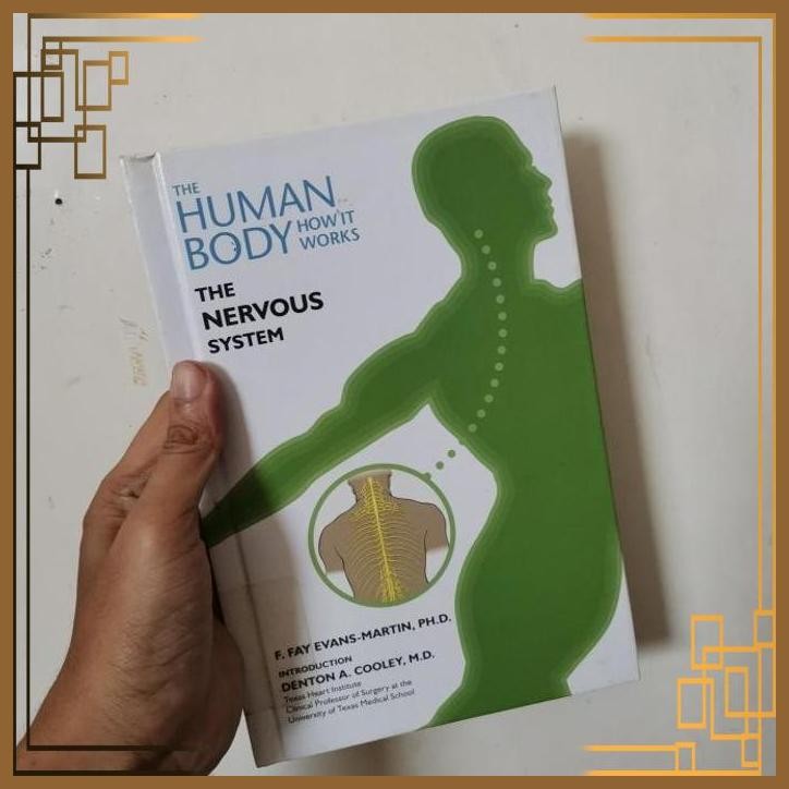 [ADG] Import book The human body how it works The nervous system