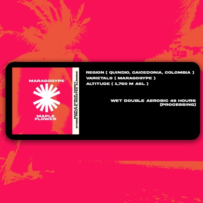 

Biji Kopi Arabika Manual Brew - Maragogype Maple Flower - 500 Gr