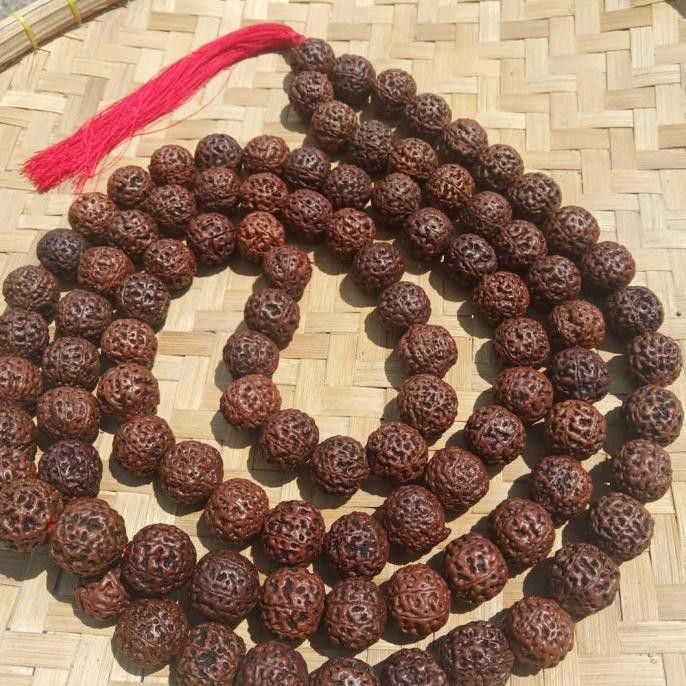 kalung tasbih jenitri besar rudraksha jumbo