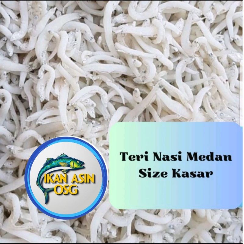 

Ikan Asin Teri Nasi Medan Super/ tn putih / size jumbo 500gr
