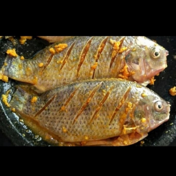 

Ikan Mujer Bumbu Kuning Siap Masak -1 Kg