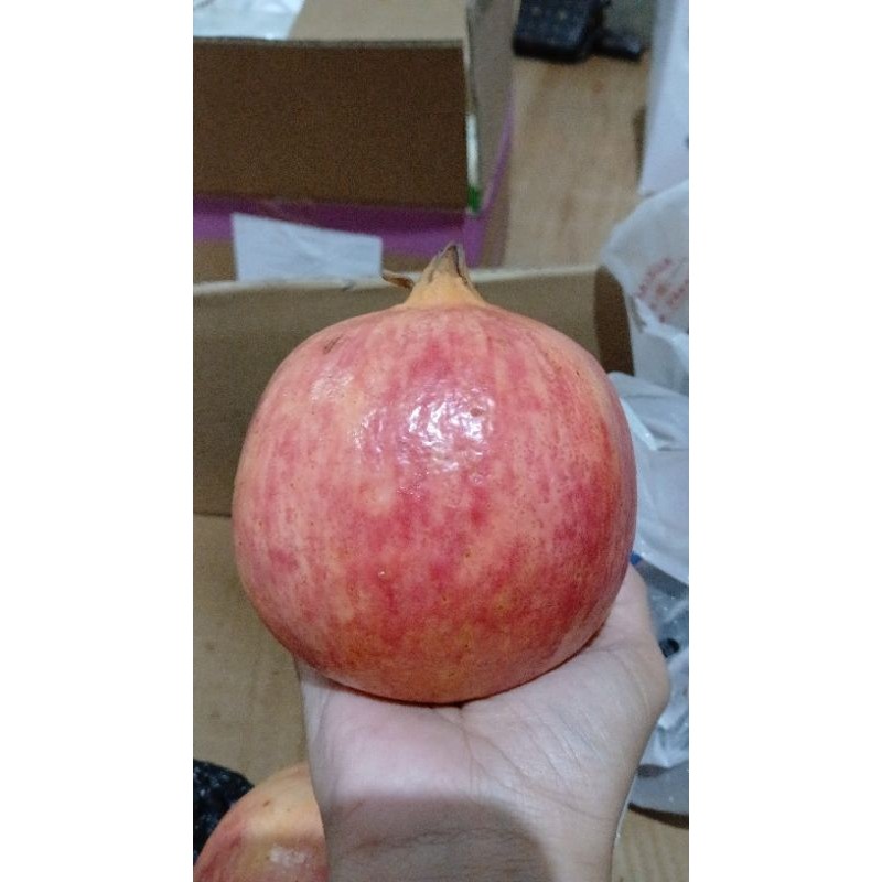 

Delima China/Delima Import