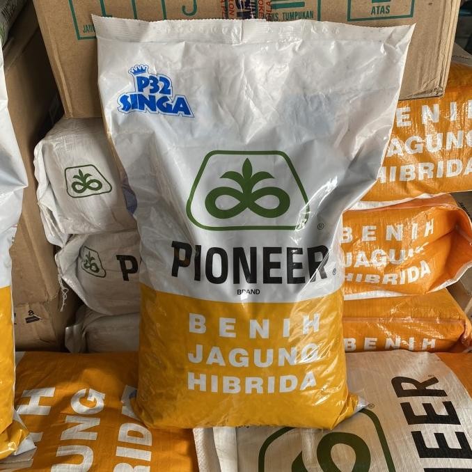 Benih Pioneer P32 Singa Bibit Jagung Hibrida Kemasan asli 5kg