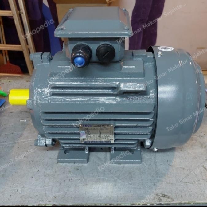 Elektromotor teco 5 hp 4 pole 3 phase