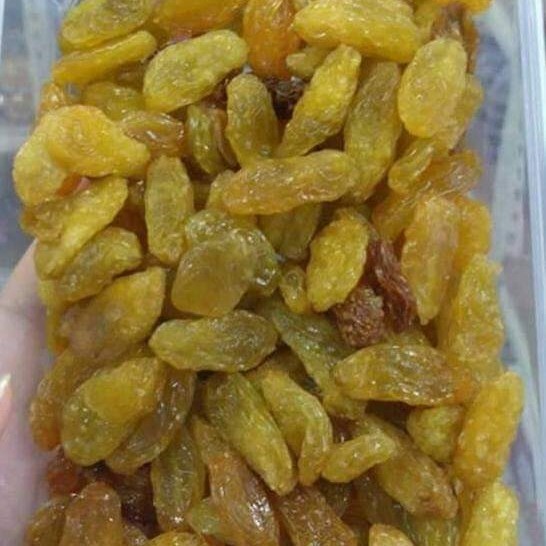 

Ready - Kismis Jumbo Lion California 1Kg Kualitas Terbaik Expd 2023