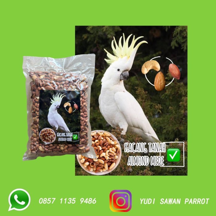 

Ready Kacang Almond Mete Tanah Makanan Pakan Burung Macaw Kakatua Afgrey