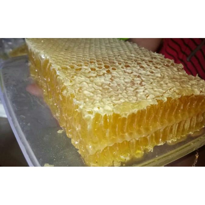 

Madu sarang / honeycomb asli 500gram [terbaik]