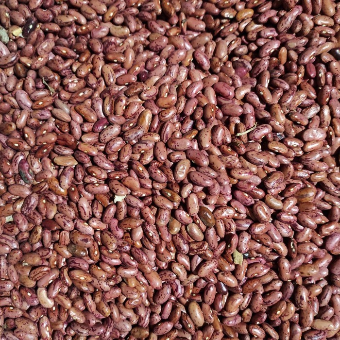 

TERLENGKAP kacang merah kering (1kg)