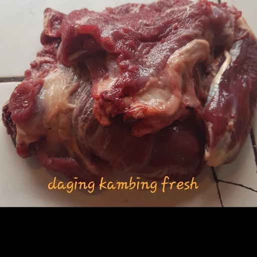

Paket Daging Kambing Hemat Termurah 100 % Original