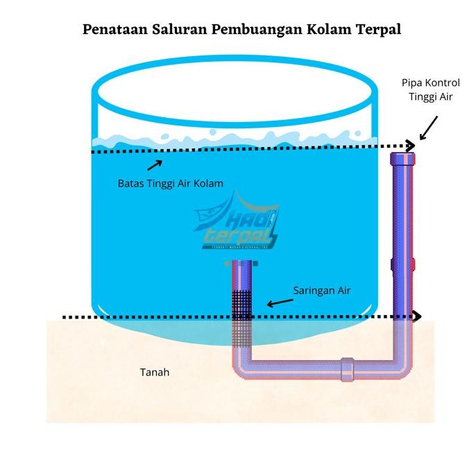 Kolam Terpal Bulat Diameter 3 Tinggi 1 Fullset Orchid Kolam ikan AS