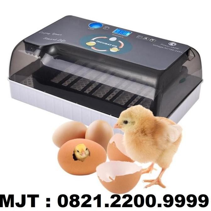 12 Egg Incubator Penetas Telur Hhd 12 Full Automatis