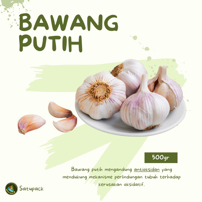 

BAWANG PUTIH SINCO - 500gr