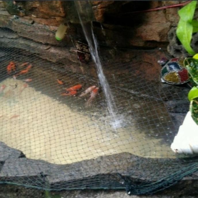 Siap Kirim jaring penutup kolam ikan 1 Roll harga murah