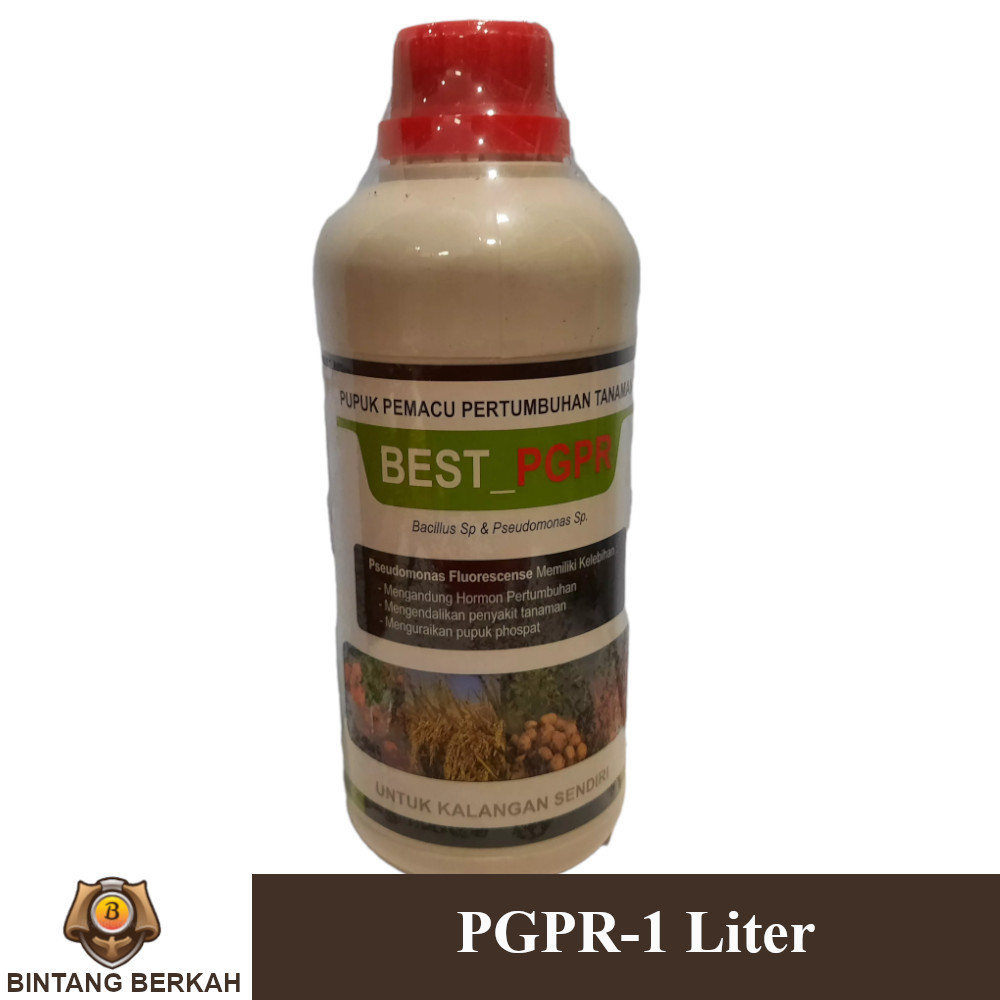 PGPR 1 Liter Pupuk PGPR Cair Pertanian