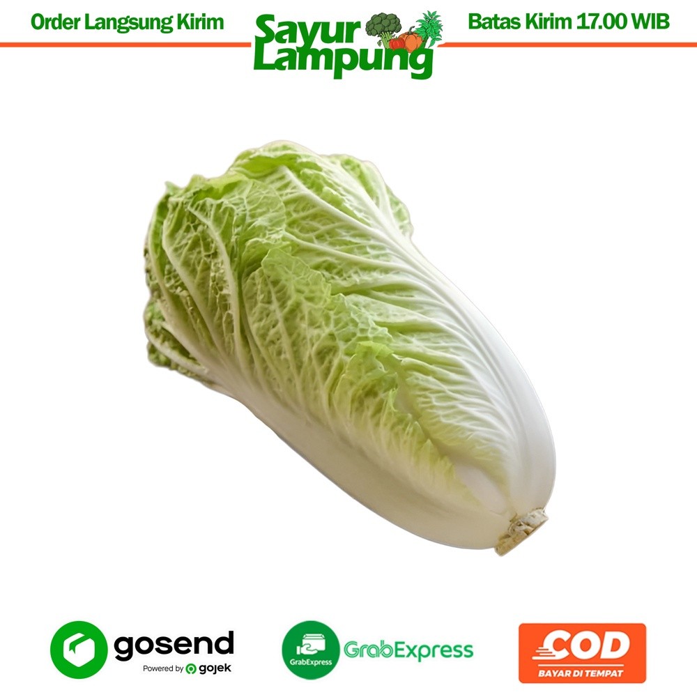 

Sawi Putih 250 Gr - Sayur Lampung