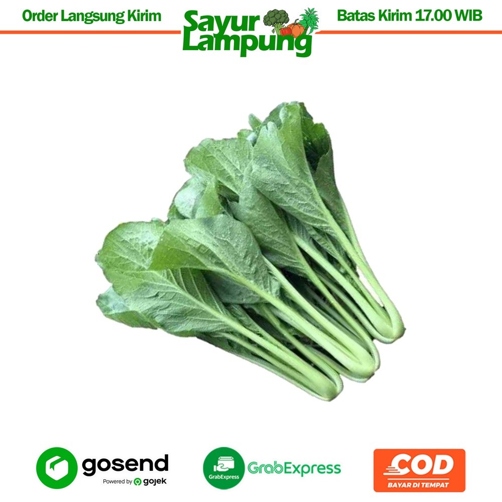 

Sawi Hijau 1 Ikat - Sayur Lampung