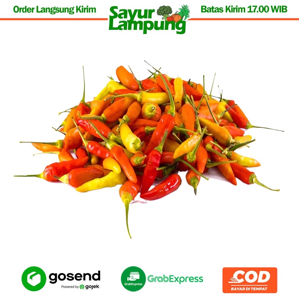 

Cabe Cabai Caplak 1 kg - Sayur Lampung