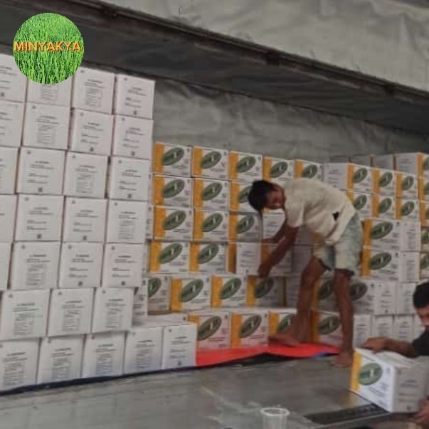 

minyak padat frybest 15kg