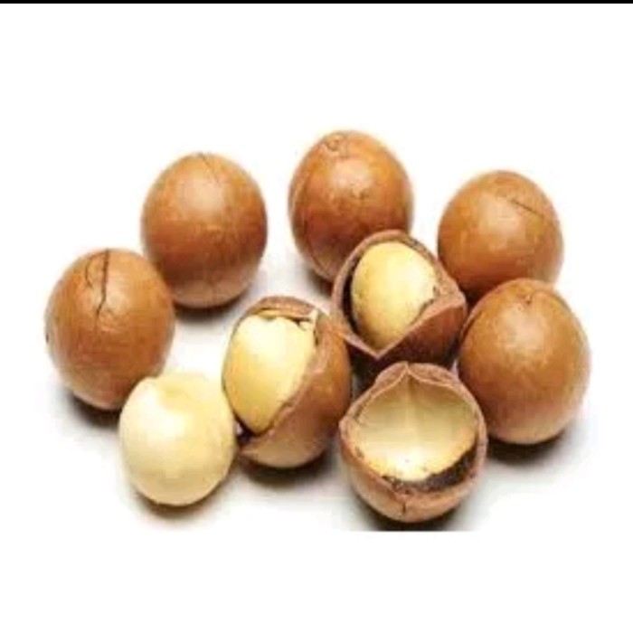 

roasted macademia rasa buttermilk berat 500gr