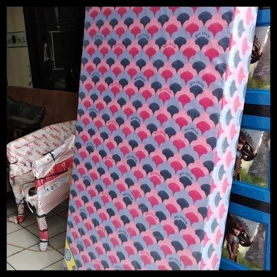 Kasur Big Foam 180X200X14Cm