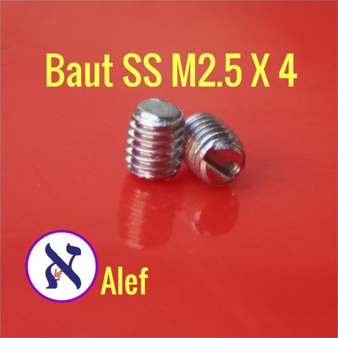 Baut Tanam M2.5 x 4 min minus SuS304 Stenlis rda rta rdta stainless