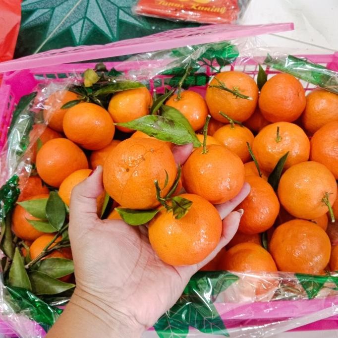 Diskon Jeruk Santang Daun 1Keranjang
