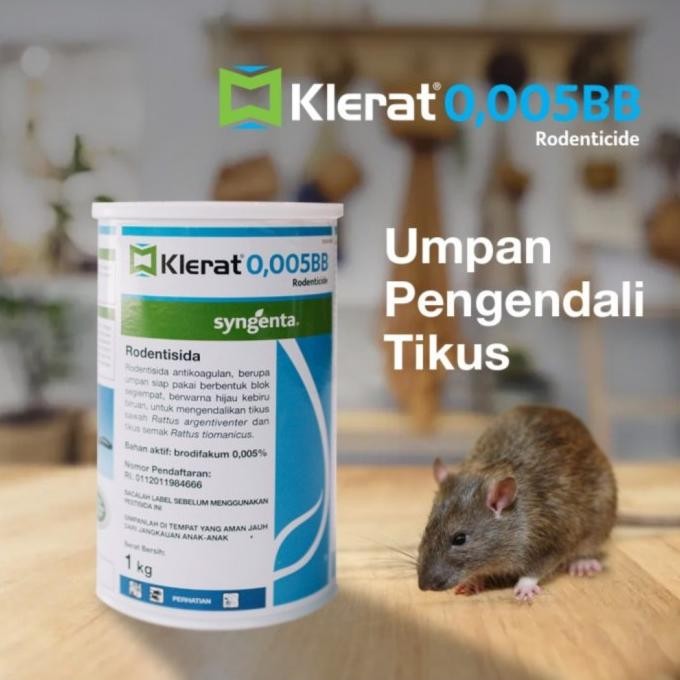Klerat BB @1 kg - Racun Pembasmi Tikus - Syngenta
