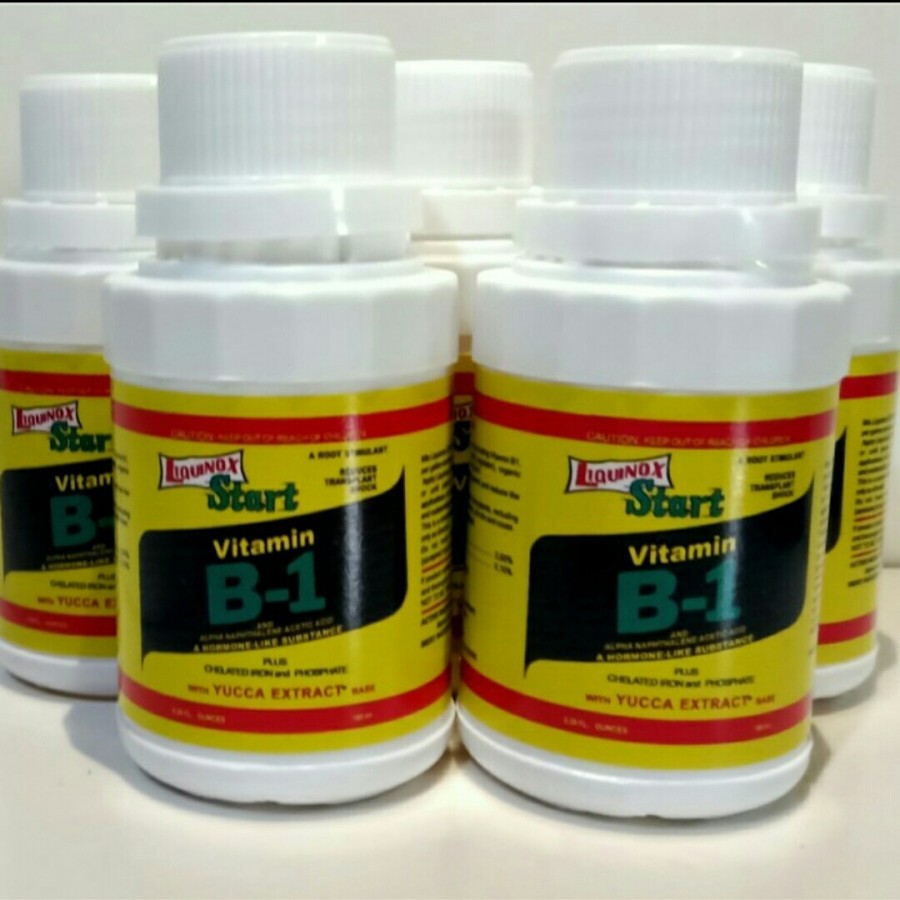 Liquinox Start / Vitamin B1 Tumbuhan Obat Anti Stres Tanaman Asli
