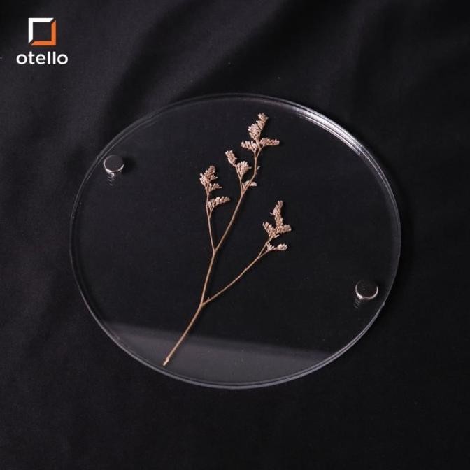 Floating Frame Acrylic | Double Akrilik Frame Jepit Dried Flower