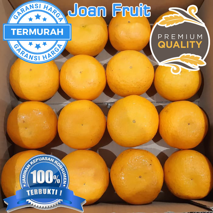 

CNY Gift Box Imlek Sinchia Buah Jeruk Mandarin import Parcel Buah Hadiah Limited