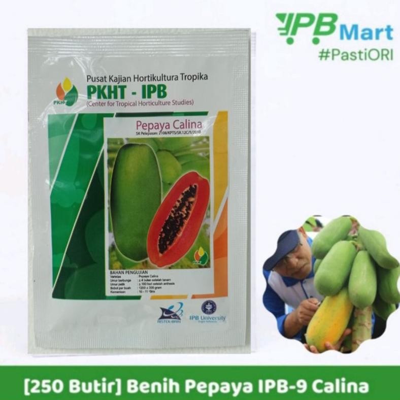 Kk - Benih Pepaya Calina PKHT IPB 9 Kemasan 250 butir