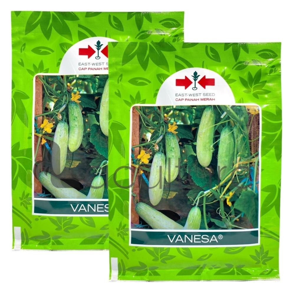 Kk - Benih Timun Mentimun VANESA Isi 20 gram Cap Panah Merah