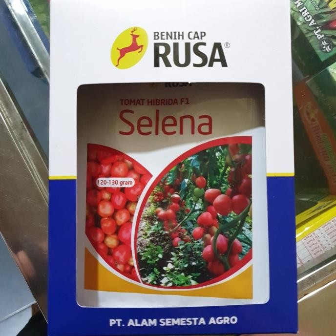Benih Tomat Selena F1 10gr / Bibit Tomat Besar Selena F1 10gr