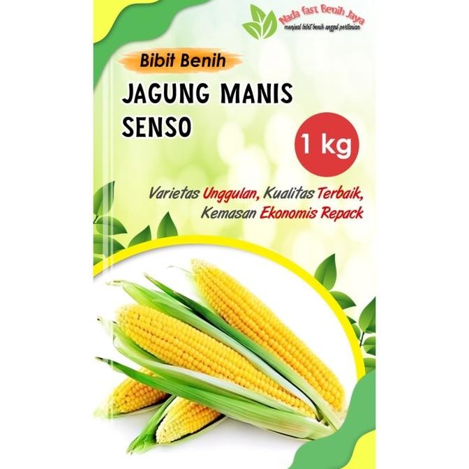 Bibit benih jagung manis super 1 kg benih tanaman jagung original