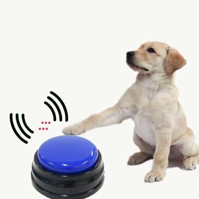 

ALTO PET TRAINING BUTTON / CALL DOG & TOYS IQ TRAINING FOR DOG CAT REC ORIGINAL