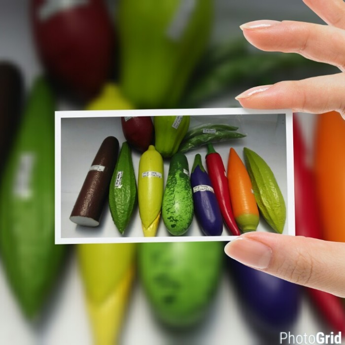 Refill Food Model Gizi Murah