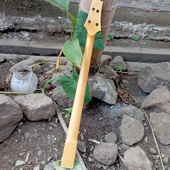 Neck Bass SGR Schecter C-4 4 String