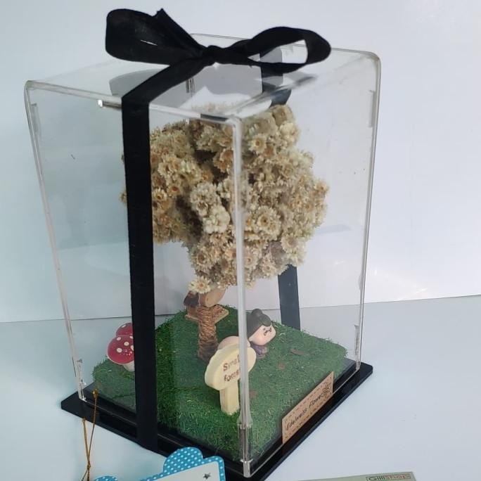 

Edelweis Box Miniatur Original Dan Terpercaya