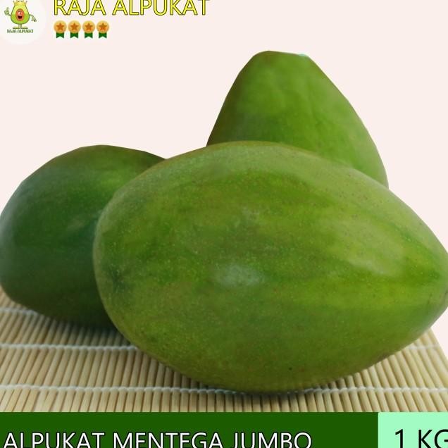 

Alpuat Mentega Grade Jumbo 1 G Raja Alpuat
