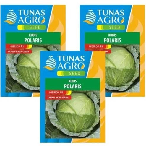 Polaris 100 Gr Benih Kubis Hibrida Bibit Sayuran Kubis Tahan Akar Gada (Takada)