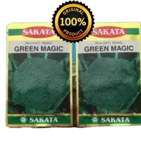 

Sakata Green Magic Benih Brokoli Broccoli Hhybrid Produk Original Pabrik