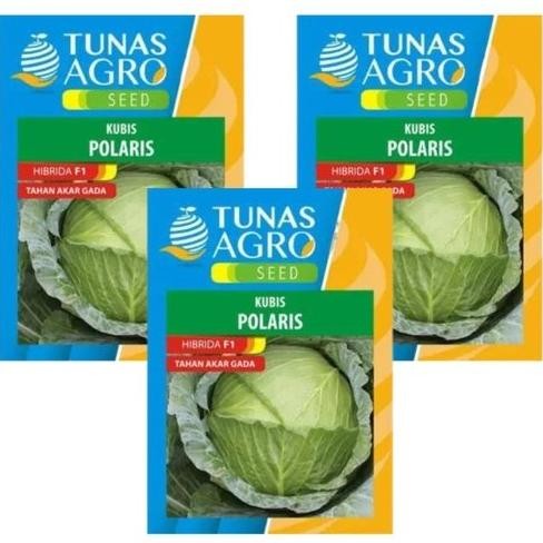 Polaris 100 Gr Benih Kubis Hibrida Bibit Sayuran Kubis Tahan Akar Gada (Takada)