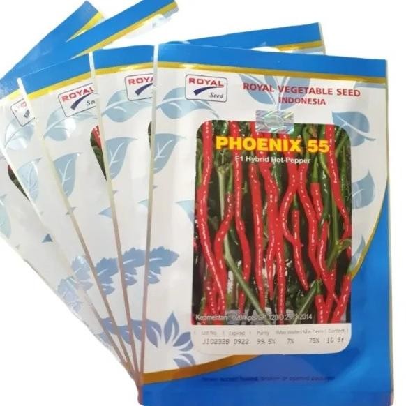 Phoenix 55 10Gr Benih Tanaman Cabe Keriting F1 Hibrida Phoenix 55 10Gr